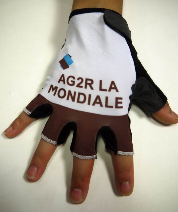 Hundschuhe Ag2r 2015